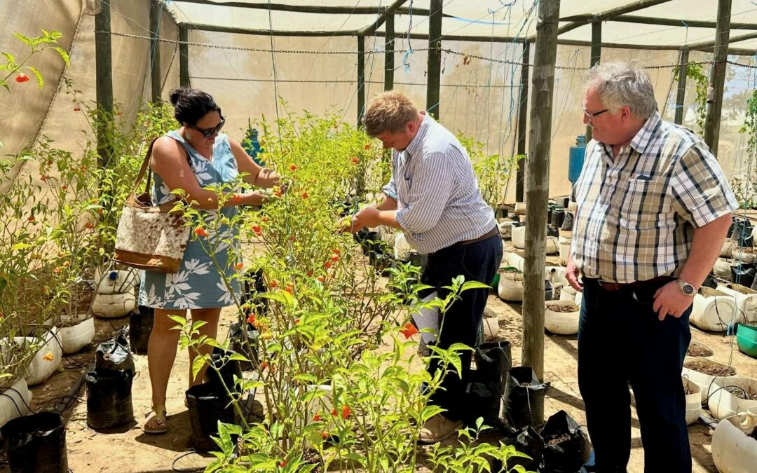 BOLAND TVET COLLEGE LEADS THE WAY: ESTABLISHING A LOCAL CENTRE FOR EXCELLENCE IN CLIMATE SMART AGRICULTURE