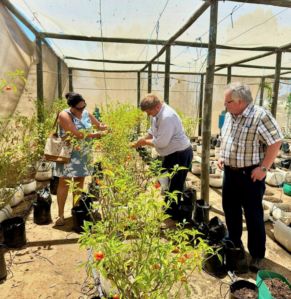 BOLAND TVET COLLEGE LEADS THE WAY: ESTABLISHING A LOCAL CENTRE FOR EXCELLENCE IN CLIMATE SMART AGRICULTURE
