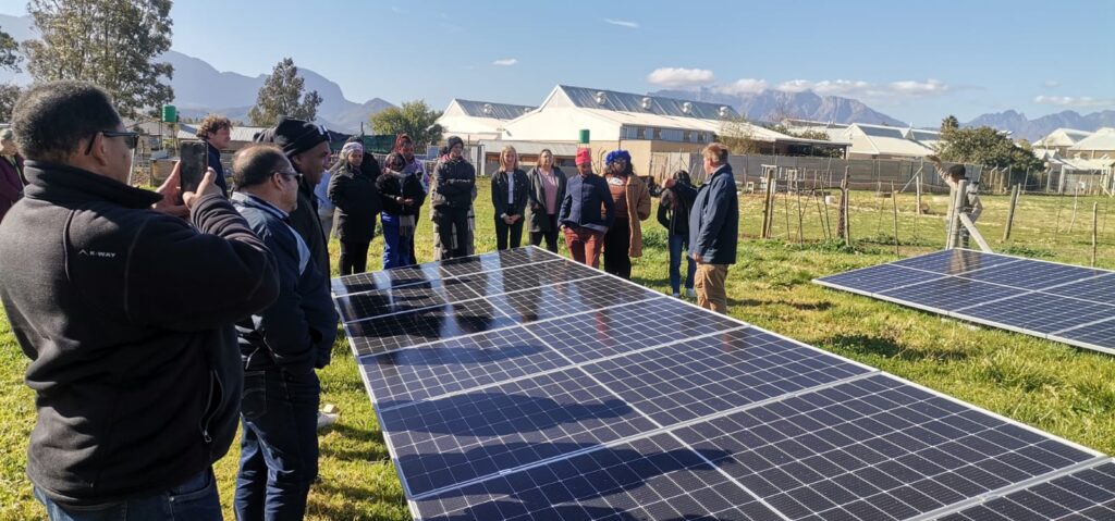 ENHANCING SKILLS FOR EMERGING COMMERCIAL FARMERS IN SOUTH AFRICA THROUGH SUSTAINABLE HORTICULTURAL VALUE CHAINS